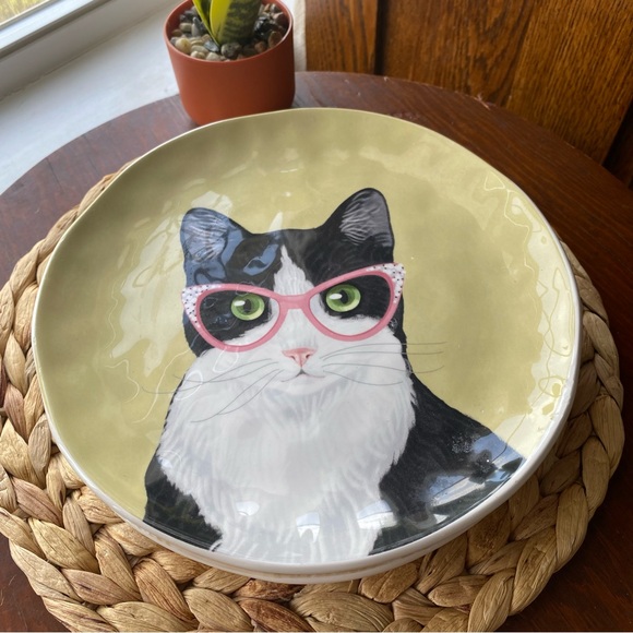 PIER 1 Imports - PARTY CATS Salad Plates - Set of 3 Ironstone EUC - Picture 3 of 11